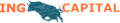 Ing Capital