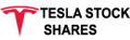 Tesla Stock Shares