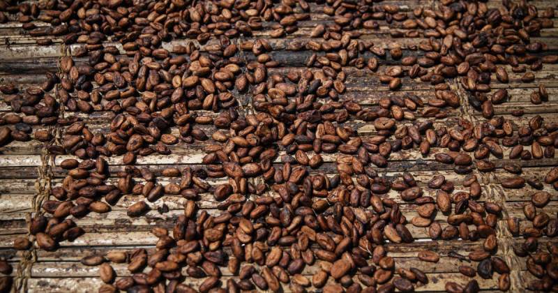 Во всем мире стоимость какао показывает антирекорд