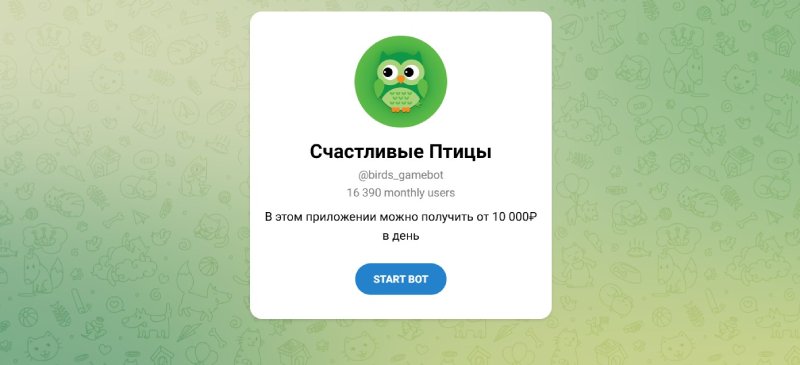 «Счастливые Птицы»