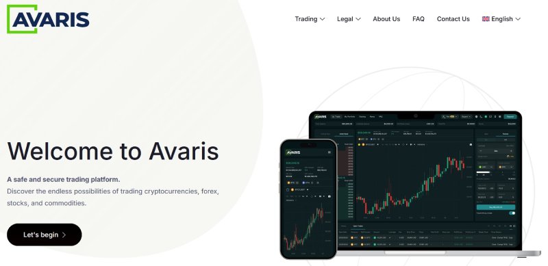 AvarisLlc