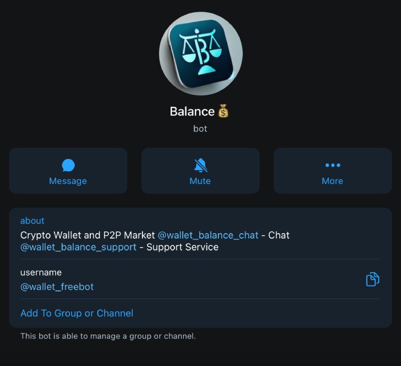 Balance Wallet