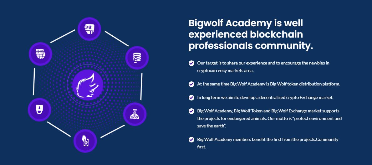 Big Wolf Academy