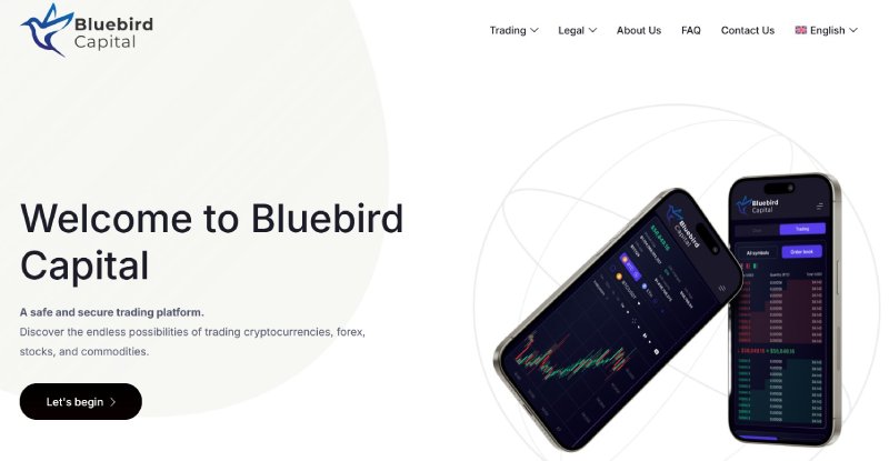Bluebird Capital