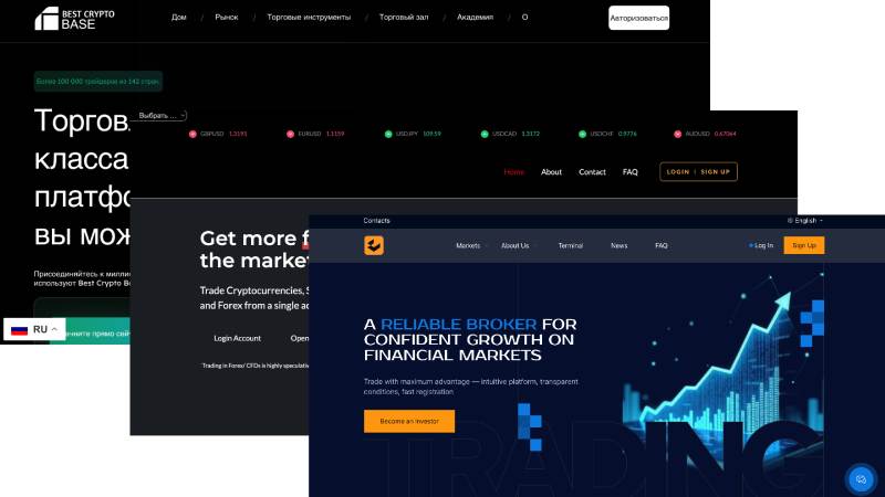 Брокеры и хайп-проекты: мониторинг за период 9.02–13.02 Брокеры и хайп-проекты: мониторинг за период 9.02–13.02