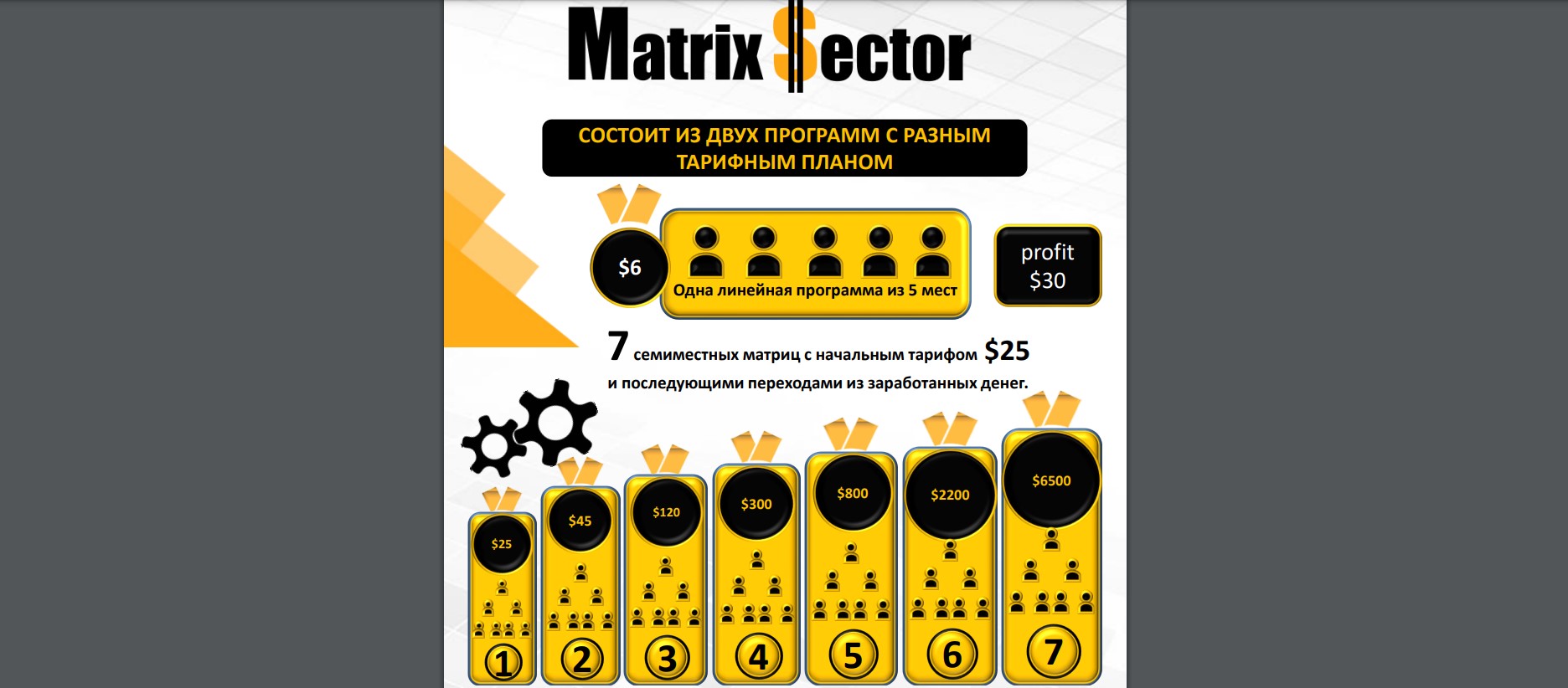 Matrix Sector