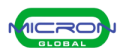 Micron Global icon