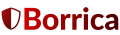 Borrica icon