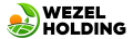 Wezel Holding icon
