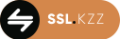SSL KZZ icon