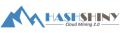 HashShiny icon