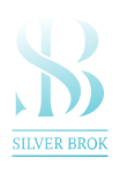 Silver Brok icon
