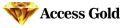 Access Gold icon