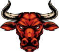Bulls Wallet icon