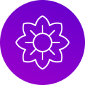 Mirubit icon