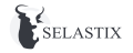 Selastix icon