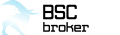 BSC Broker icon