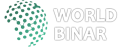 WorldBinar icon