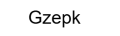 Gzepk icon