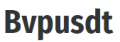Bvpusdt icon