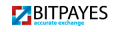 Bitpayes icon