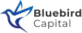 Bluebird Capital icon