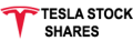 Tesla Stock Shares icon