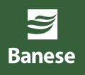 Banco Banese icon