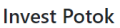 Invest Potok icon