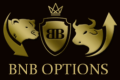 BnB Options icon