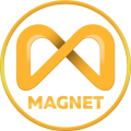 Crypto Magnet