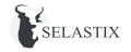 Selastix