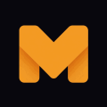 Microndex