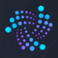 Bitfin Capital