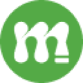 Mentorisy