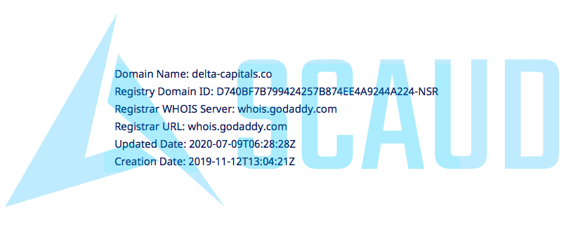 Как работает Delta Capitals?