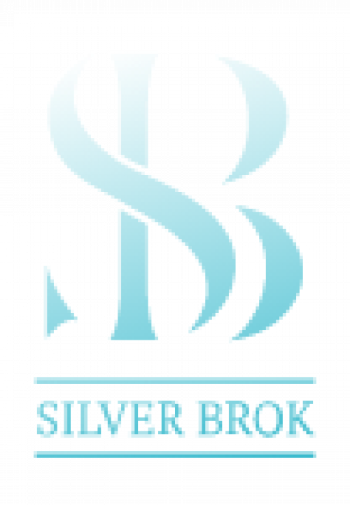 Silver Brok